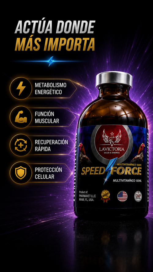 SPEED FORCE